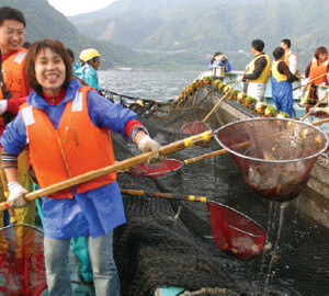 Pêche au filet