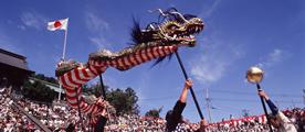 Festivals &  Traditional Culture