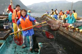 Fishing Experience in Hirado!