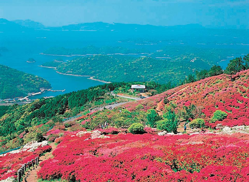 Nagushiyama Azalea Festival