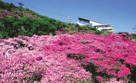 Nita Pass, Unzen