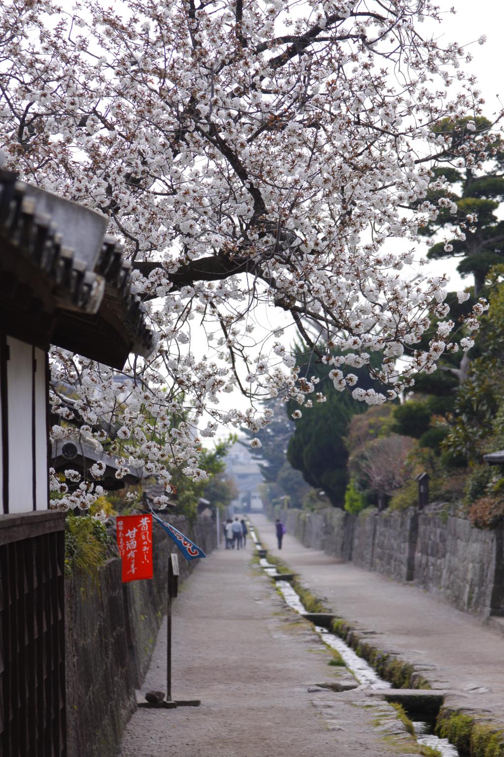 Old Samurai Warriors’ Houses