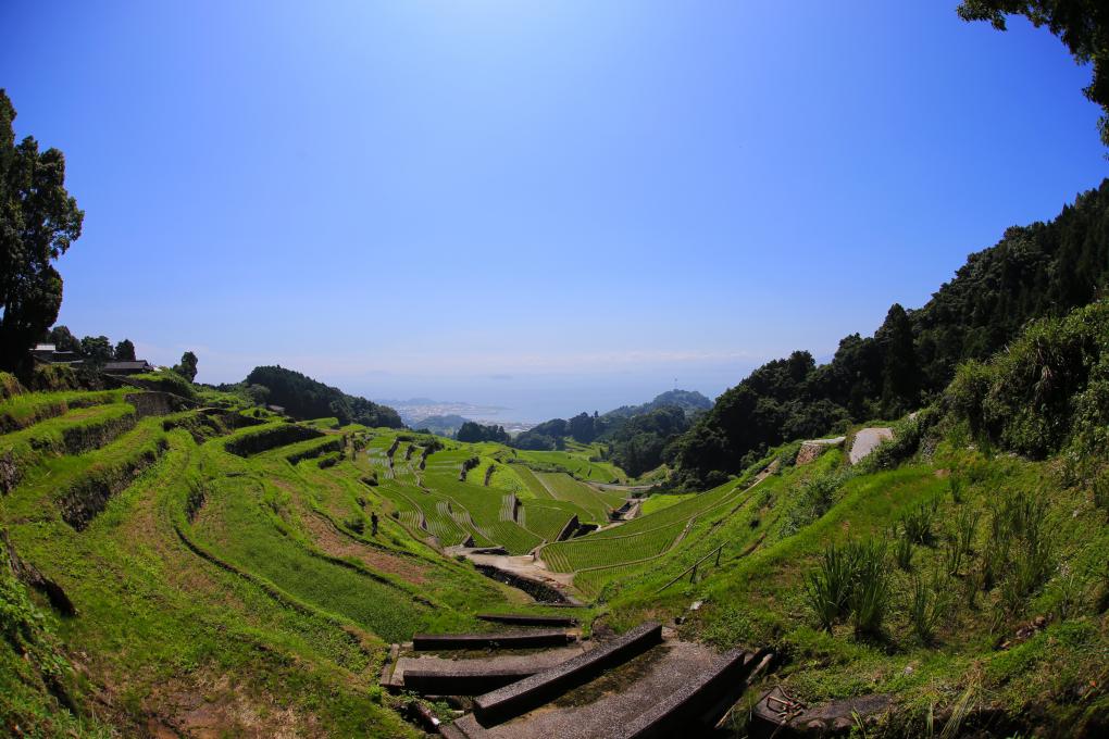 Shirakino-Tanimizu Rice Terraced Fields