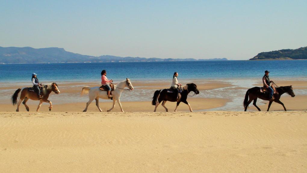 Hirado Sea View Ranch