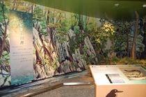 Tsushima Wildlife Conservation Centre