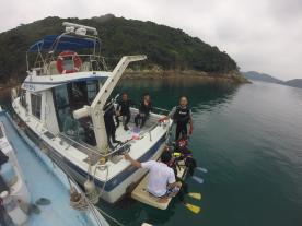 Goto Diving Experiences