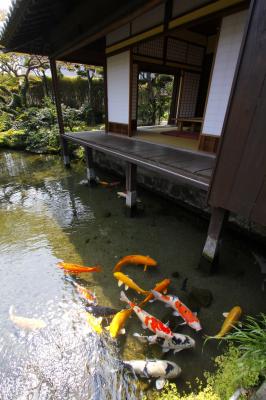 Shimeiso Spring Garden