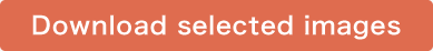 Download selected images