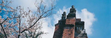 Peace Hill