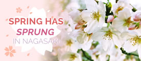 Spring has sprung in Nagasaki