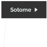 Sotome