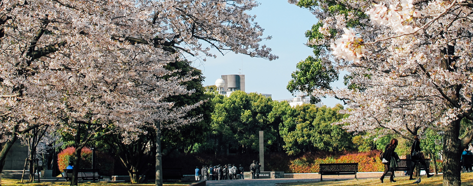 Peace Park