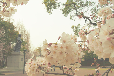 Peace Park