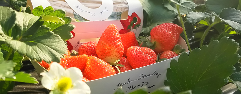 strawberries