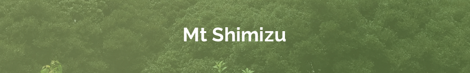 Mt Shimizu