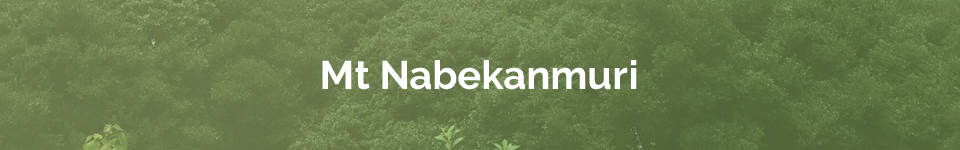 Mt Nabekanmuri